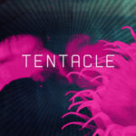 Cover of the Novel Tentacle showing a magenta sea anemone.